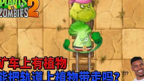 国产色奇吧,探索中国色彩文化的独特魅力